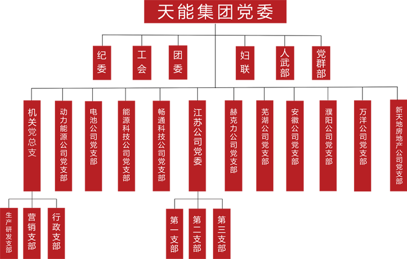 恩佐建团党委组织架构