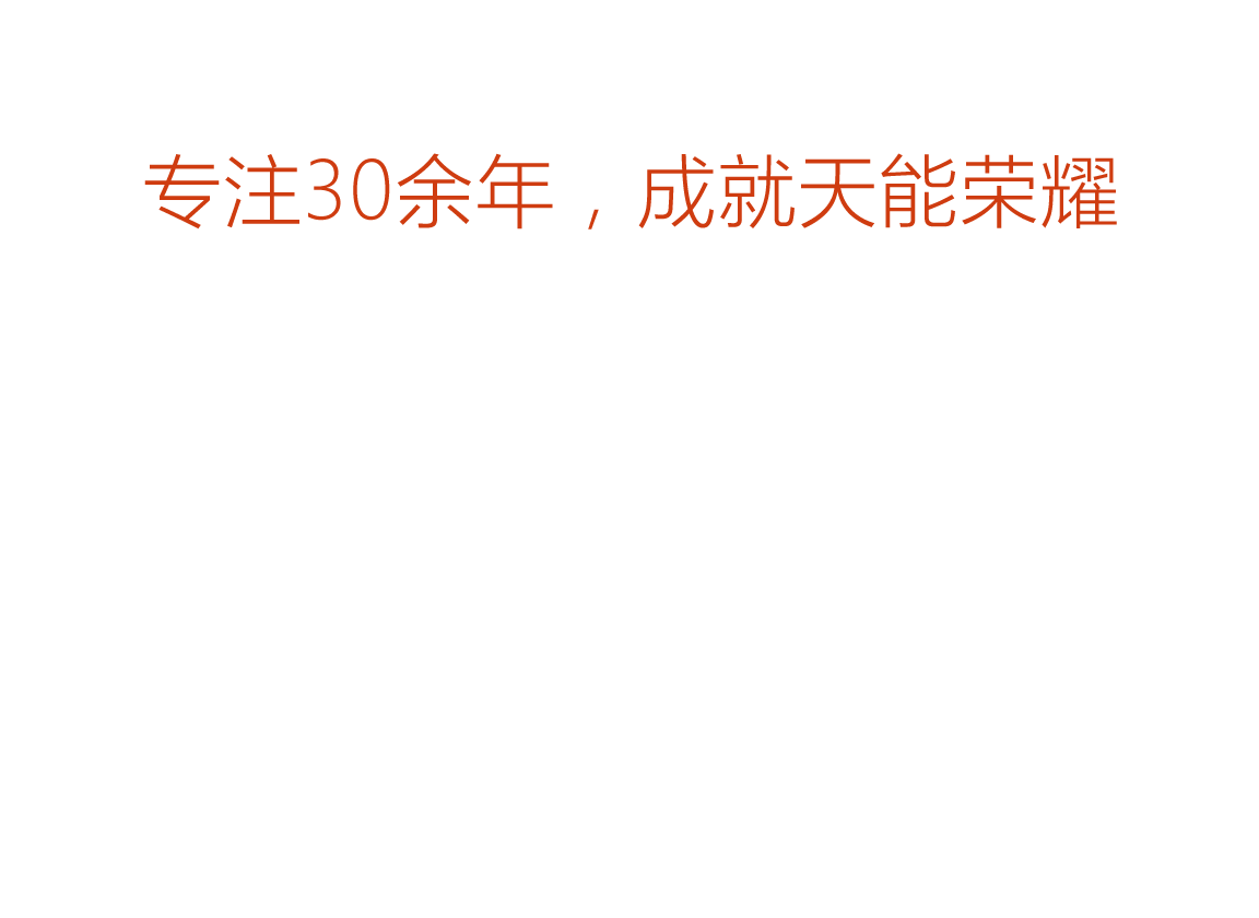 恩佐荣誉
